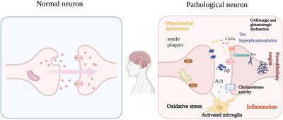 Natural essential oils derived from herbal medicines: A promising therapy strategy for treating cognitive impairment